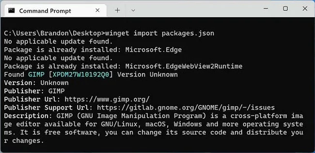 How to use Windows Package Manager to easily install and update programs
