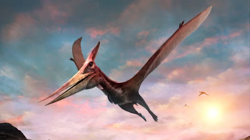 Interesting facts about dinosaurs you may not know