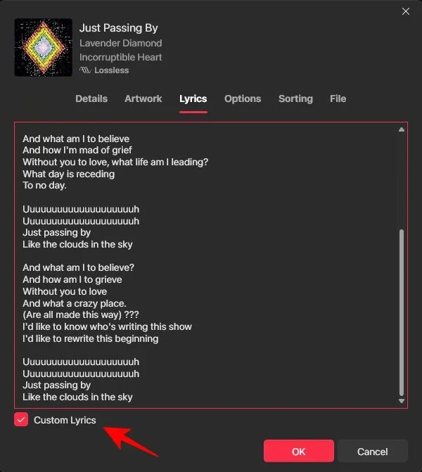How to Add Lyrics to Apple Music Windows