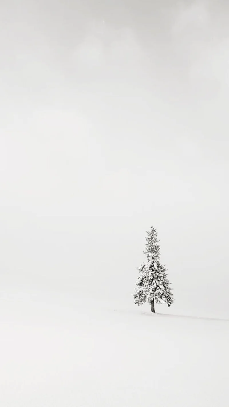 Papel pintado blanco, hermoso papel pintado blanco.