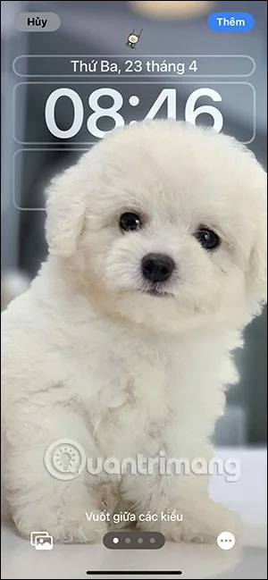 iPhone için salıncak evcil hayvan duvar kağıdı nasıl oluşturulur