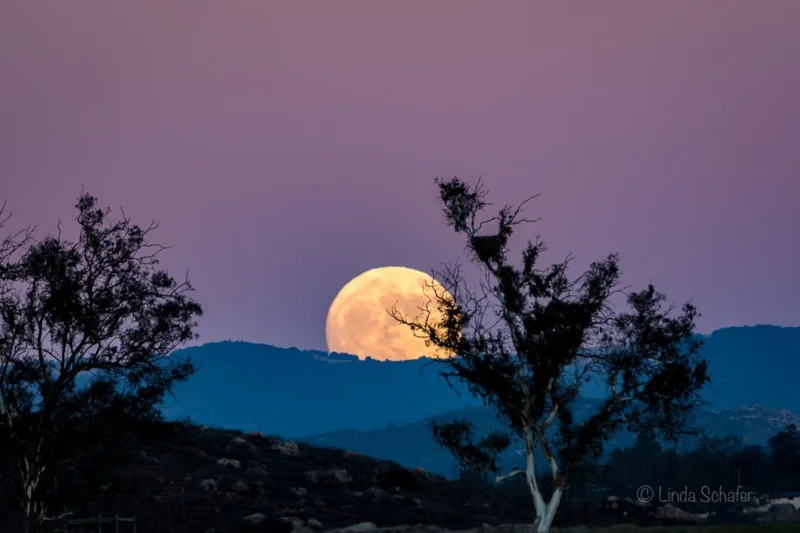 Impresionantes imágenes de la superluna desde todo el mundo.