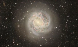 Admira la majestuosa imagen de la galaxia Southern Pinwheel