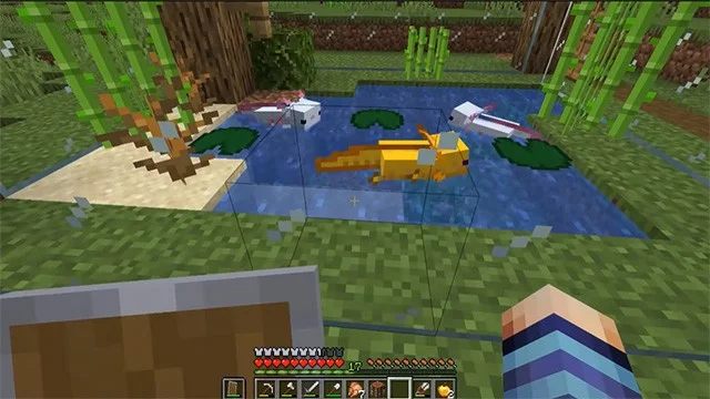 Axolotl Minecraft nasıl yetiştirilir, Minecraft Salamander nasıl evcilleştirilir