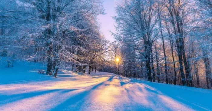 Fakta menarik tentang Dong Chi