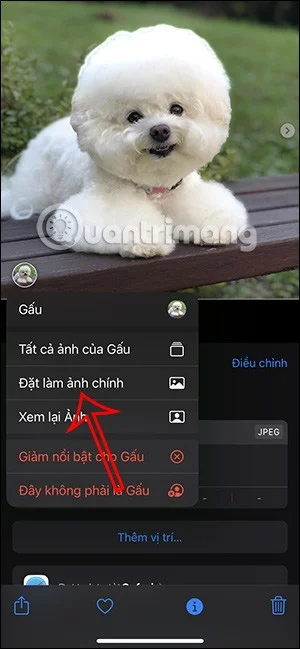 Como marcar animais de estimação nas fotos do iPhone