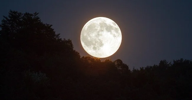 Por eso siempre vemos a la Luna siguiéndonos