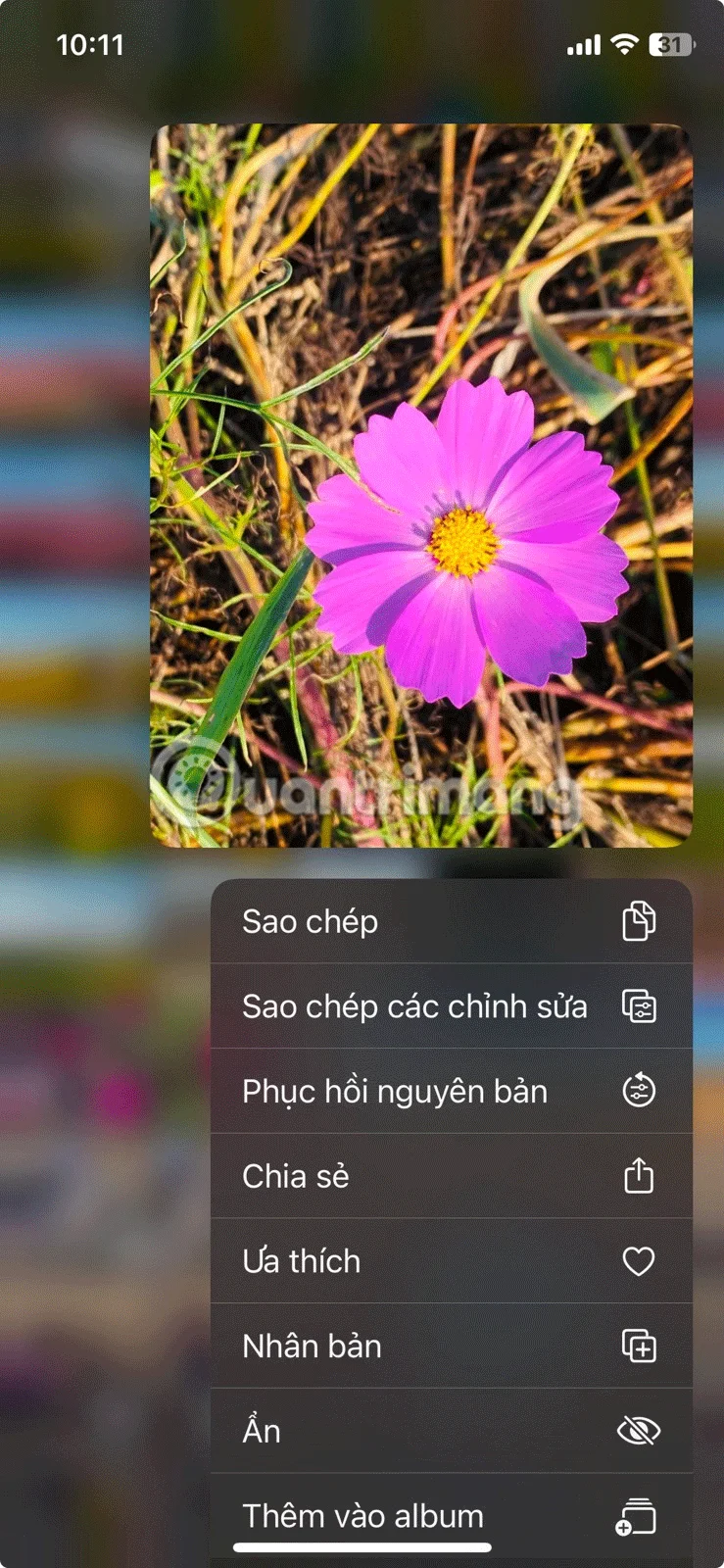 iPhone에서 사진 앱을 잠그는 방법