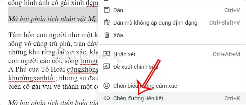 Cómo insertar un enlace en un documento de Google Docs