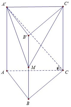 Formule voor het berekenen van het volume van een verticaal prisma, prismavorm