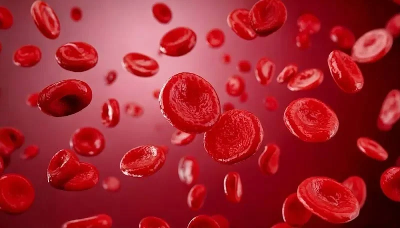 Los microplásticos en los envases de alimentos pueden dañar el corazón y cómo prevenirlo