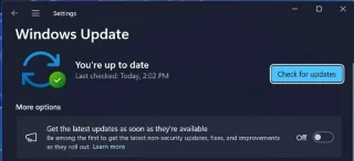 Windows 11de Copilot bulunamadığında ne yapılmalı?