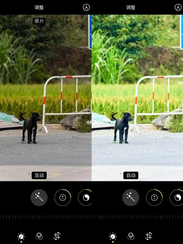 iPhone에서 사용할 수 있는 멋진 사진 편집 공식