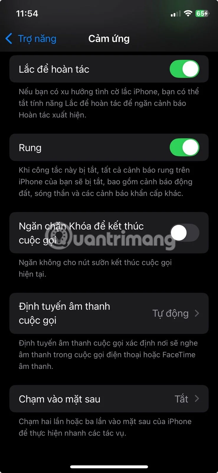 Cómo configurar el gesto de toque trasero en iPhone