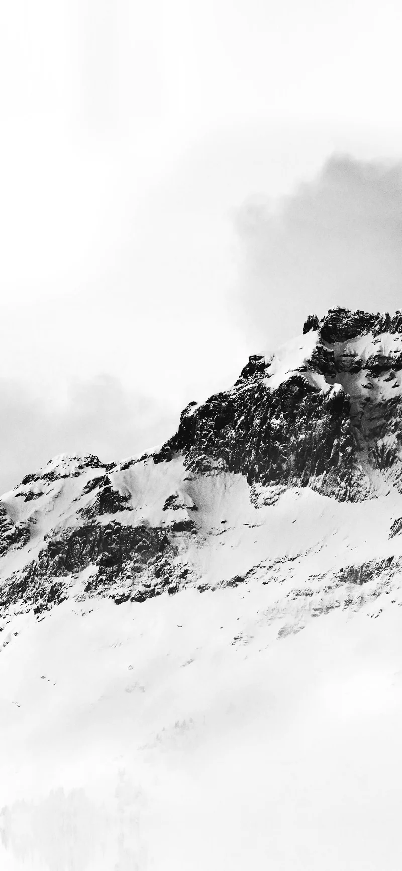Papel pintado blanco, hermoso papel pintado blanco.