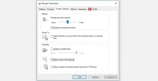 วิธีแก้ไขปัญหาตัวชี้เมาส์หายไปใน Windows