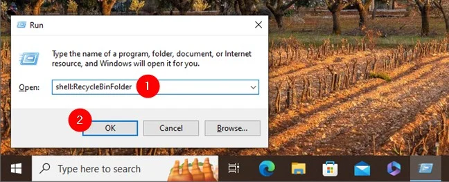 11 Ways to Open Recycle Bin on Windows