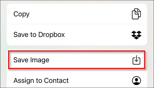 Cómo copiar fotos y vídeos de la aplicación Archivos a la biblioteca de Fotos en iPhone y iPad