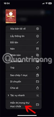Cómo encontrar archivos descargados en iPhone/iPad