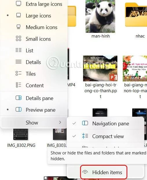How to hide and show files in Windows 11 without software