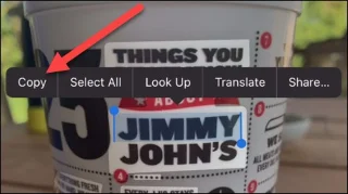 Cómo extraer y copiar texto de fotos en iPhone