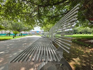 So machen Sie die Ultraweitwinkelkamera Ihres Telefons unglaublich toll