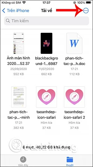 Cómo encontrar archivos descargados en iPhone/iPad