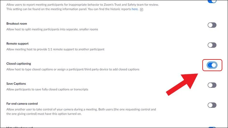 Usa la funzione per aggiungere i sottotitoli in zoom (sottotitoli)