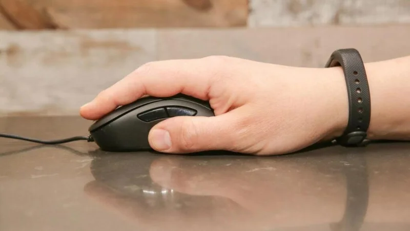3 mânere de bază pentru mouse: palmă, gheare și vârf de deget